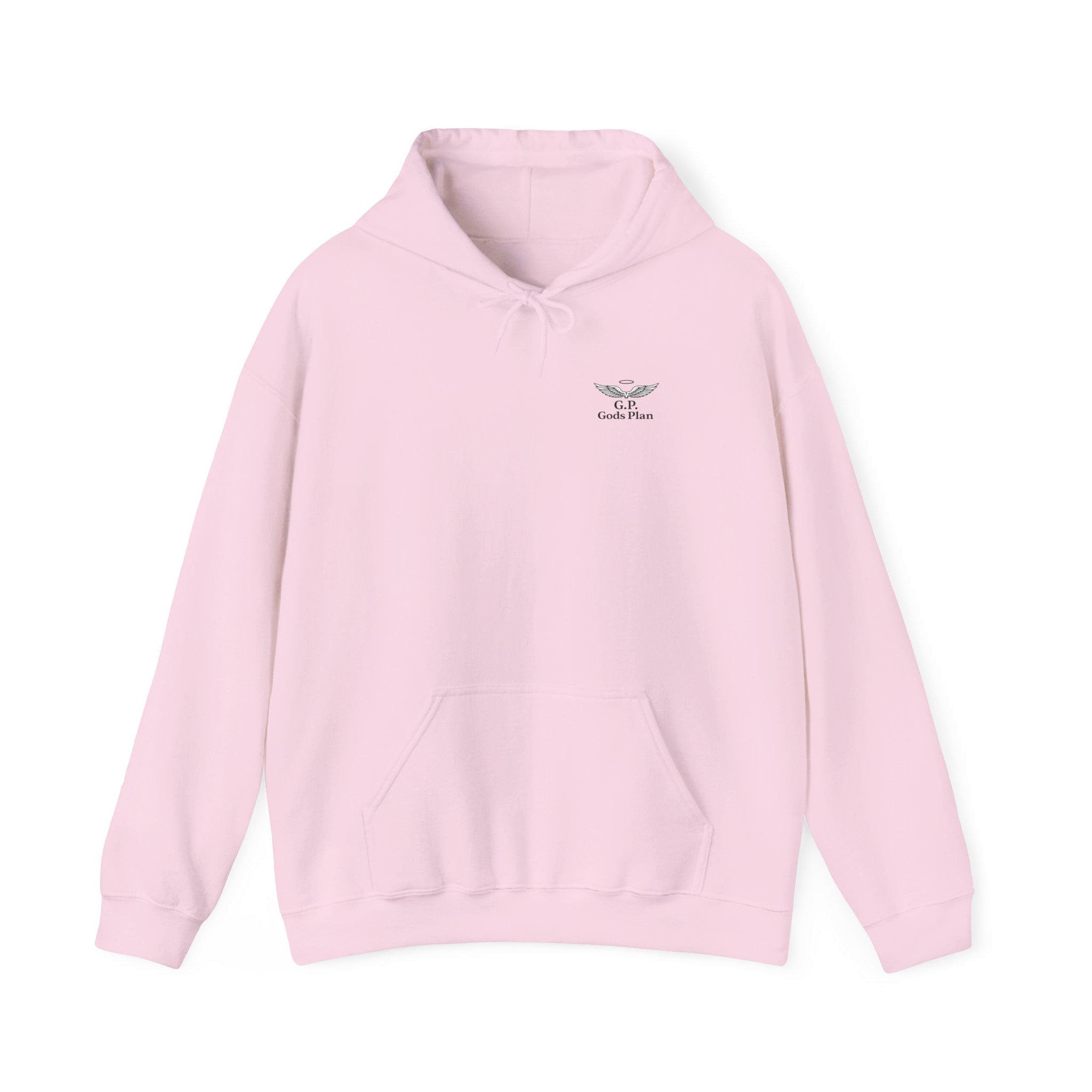 Gods  Plan Hoodie - unisex