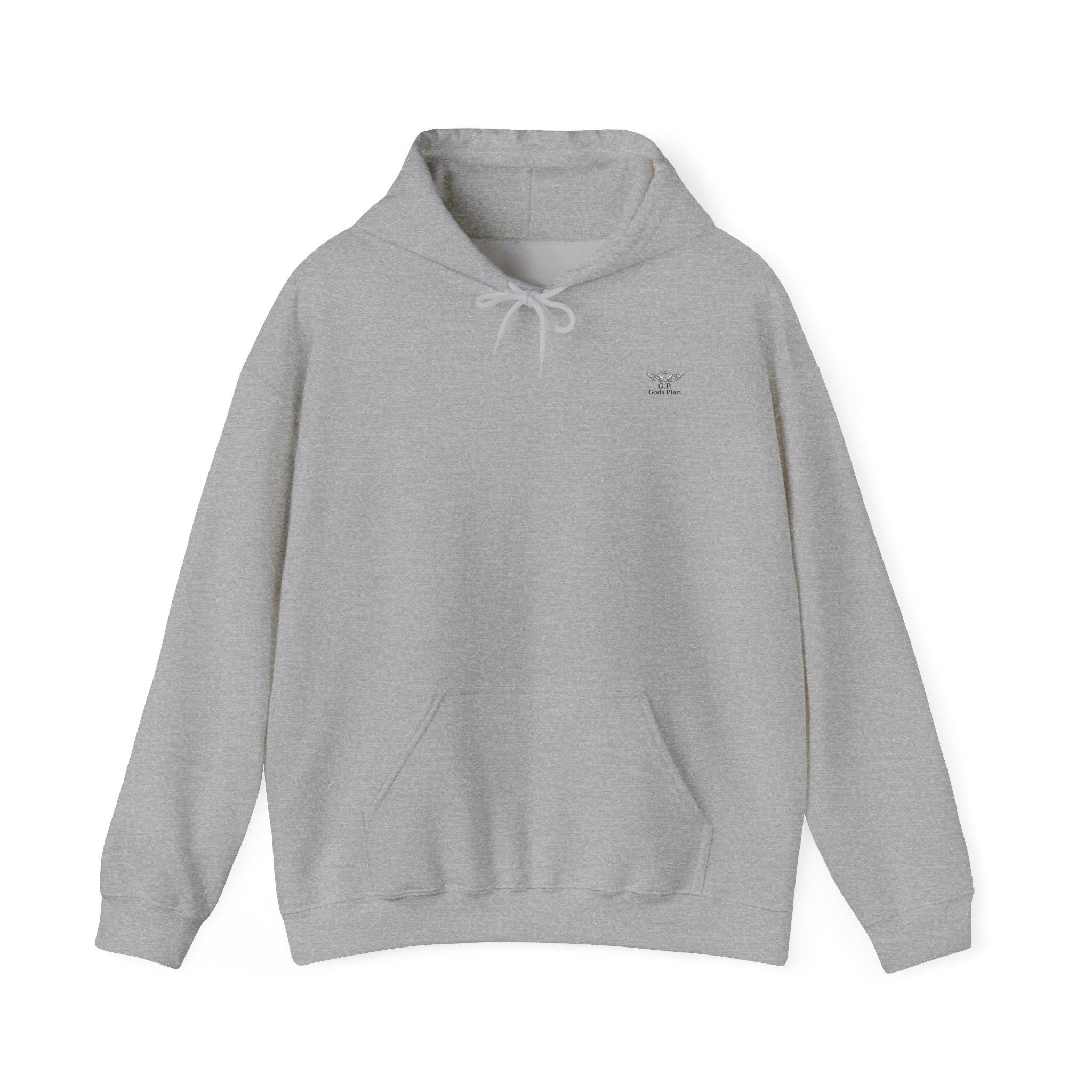 Gods Plan Hoodie - unisex