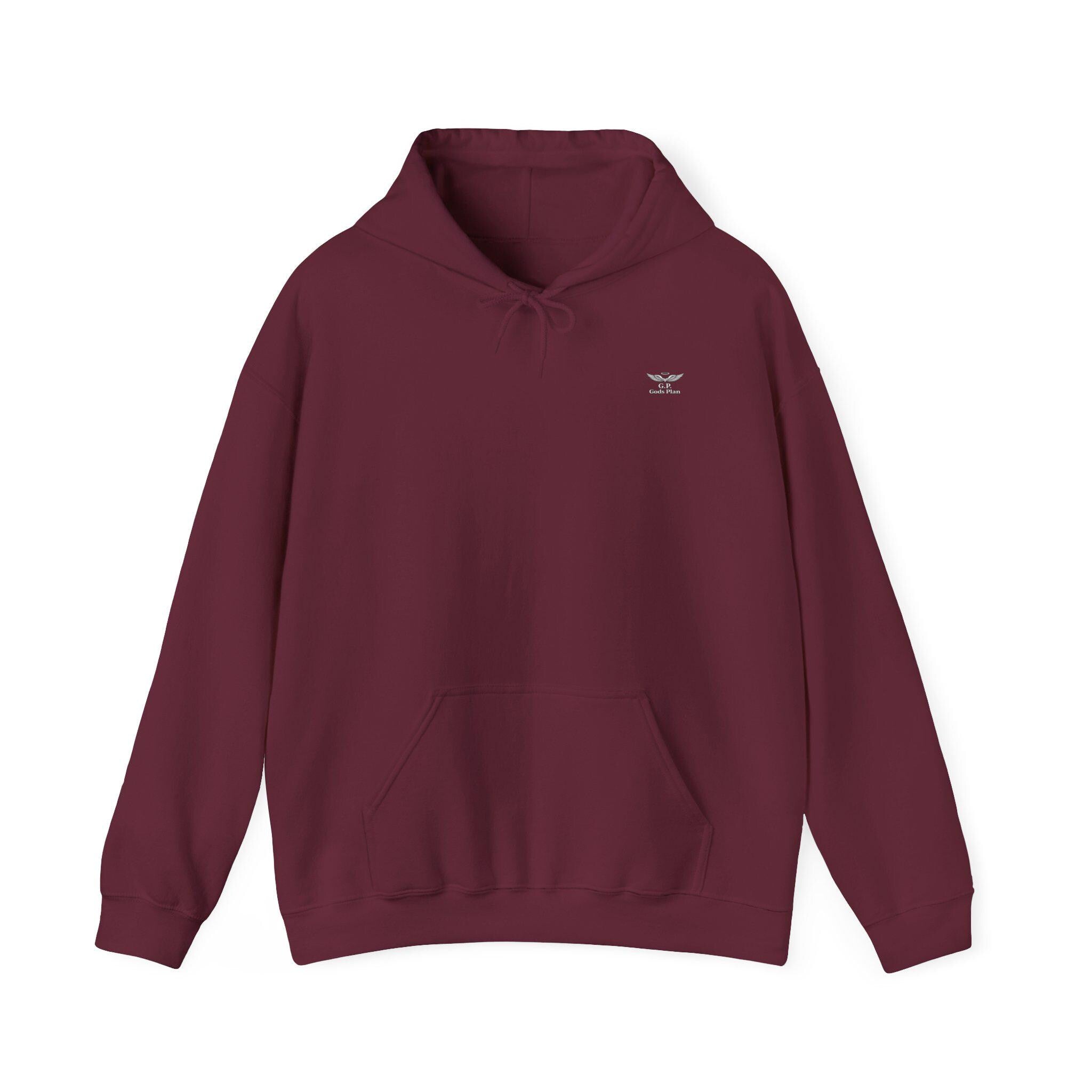 Gods Plan Hoodie - unisex